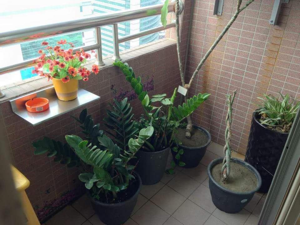 Jia Jia House Kaohsiung Exterior foto